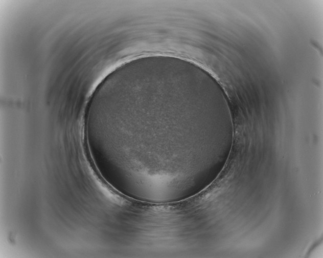 X0000091291523200708171333