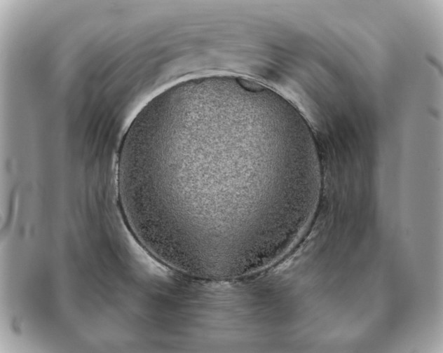 X0000091291524200708171333