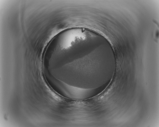 X0000091291525200708171333