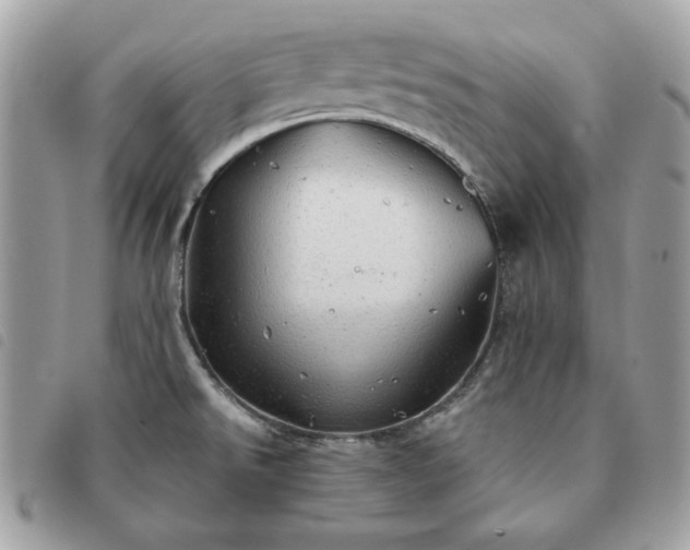 X0000091291526200708171333