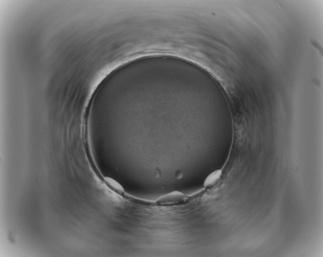 X0000091291527200708171333