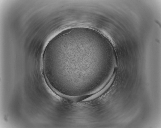 X0000091291528200708171333