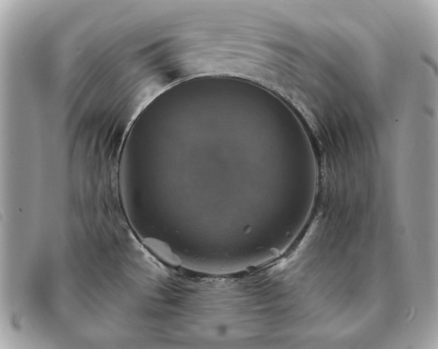 X0000091291529200708171333