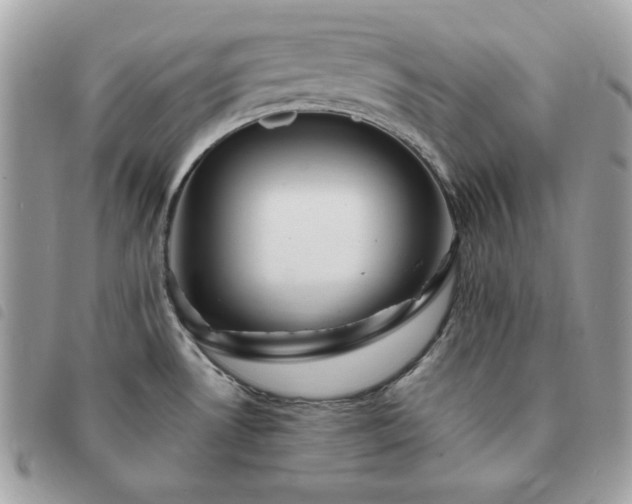 X0000091291530200708171333