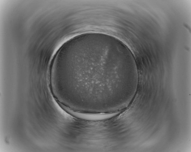 X0000091291531200708171333