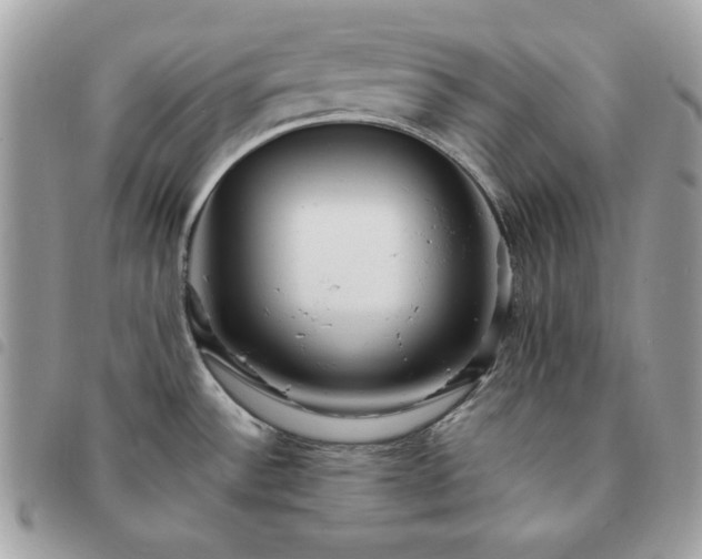 X0000091291532200708171333