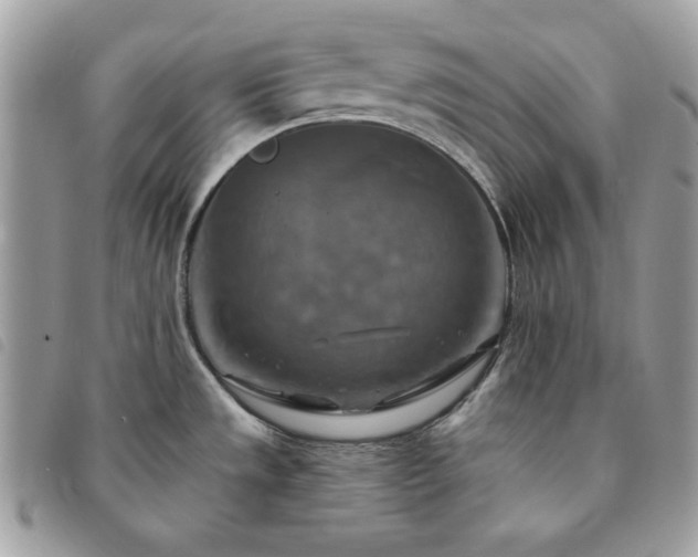 X0000091291533200708171333