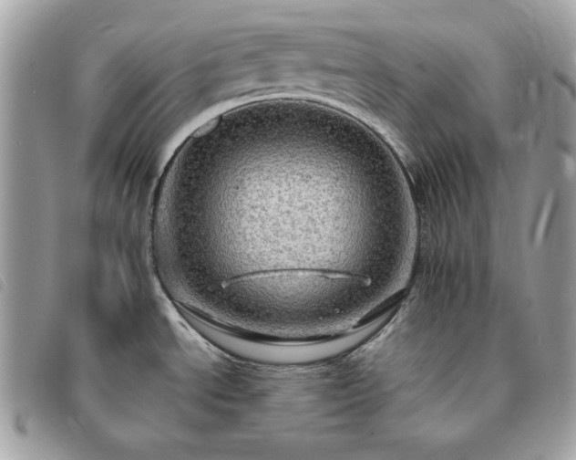 X0000091291534200708171333