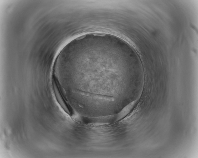 X0000091291536200708171333