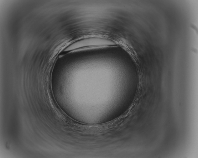 X0000091290001200708241039