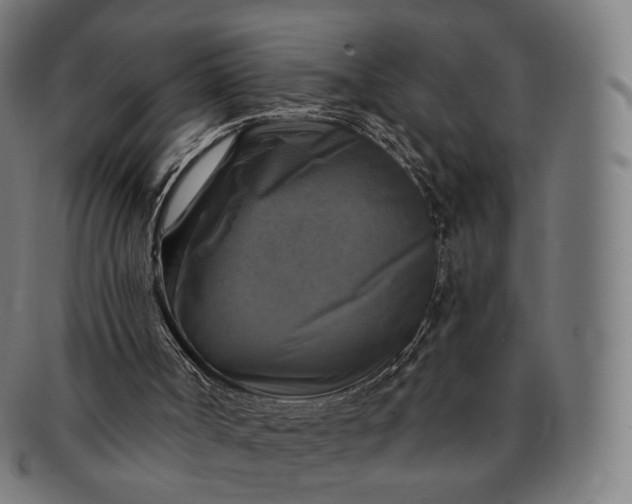 X0000091290002200708241039