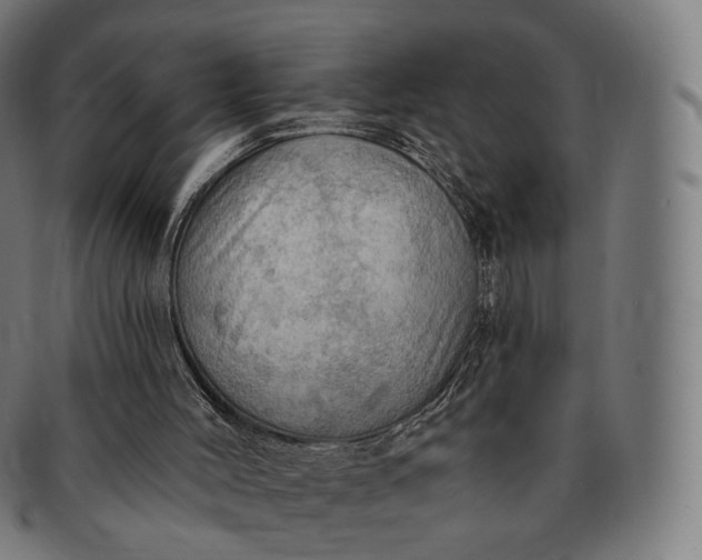 X0000091290004200708241039