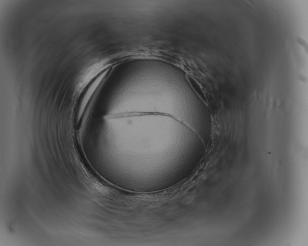 X0000091290005200708241039