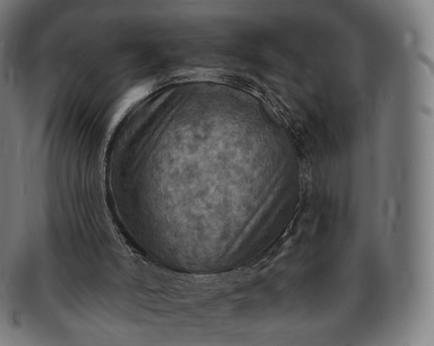 X0000091290006200708241039