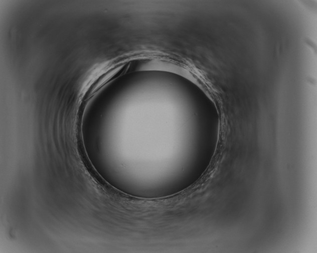 X0000091290007200708241039