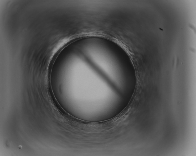 X0000091290008200708241039