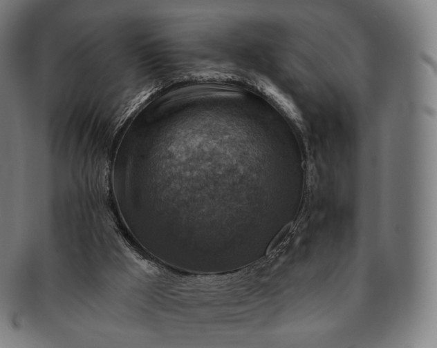 X0000091290009200708241039