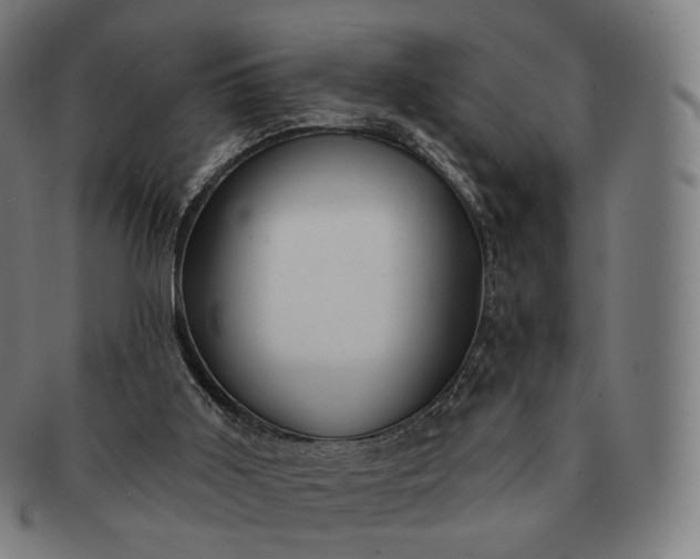 X0000091290011200708241039