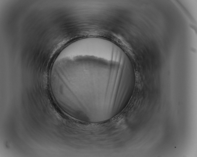 X0000091290012200708241039