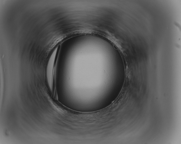 X0000091290013200708241039