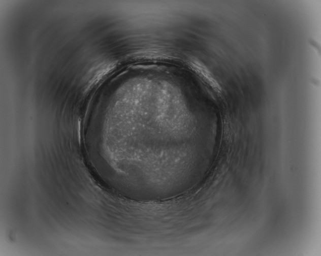 X0000091290014200708241039