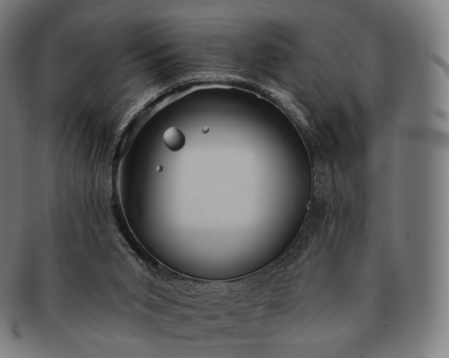 X0000091290015200708241039