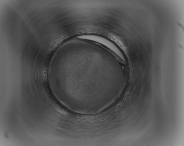 X0000091290017200708241039