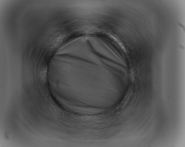 X0000091290018200708241039