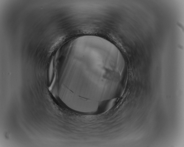 X0000091290019200708241039