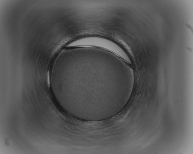 X0000091290020200708241039