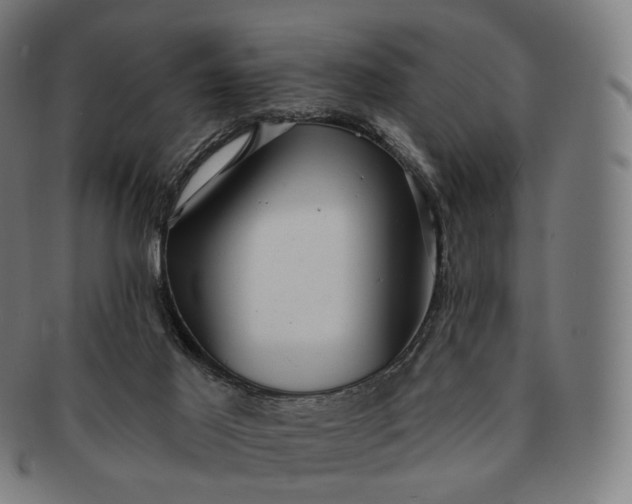 X0000091290021200708241039