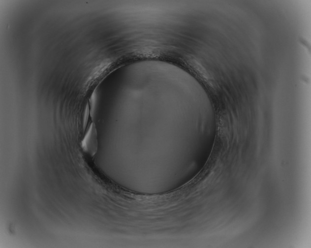 X0000091290023200708241039