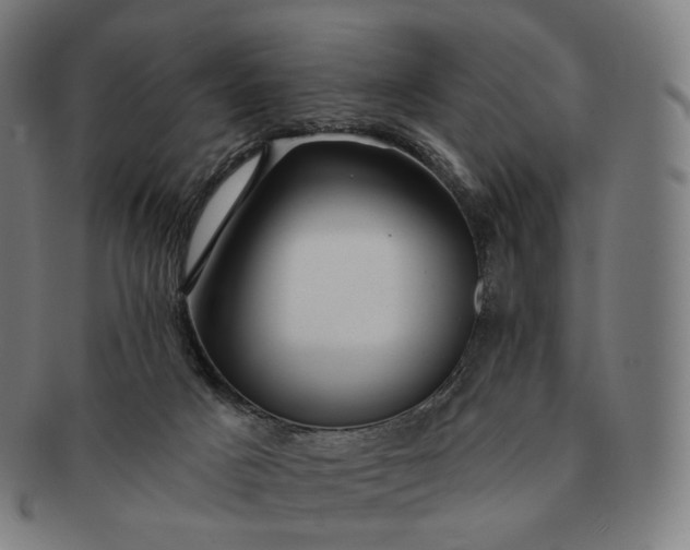 X0000091290025200708241039