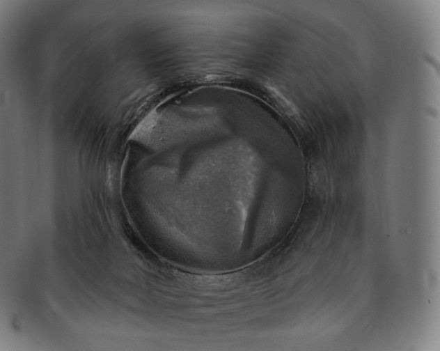 X0000091290026200708241039