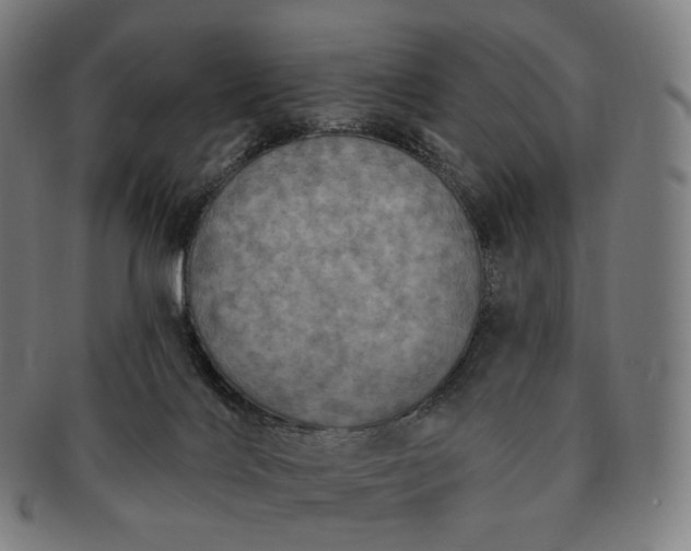 X0000091290028200708241039