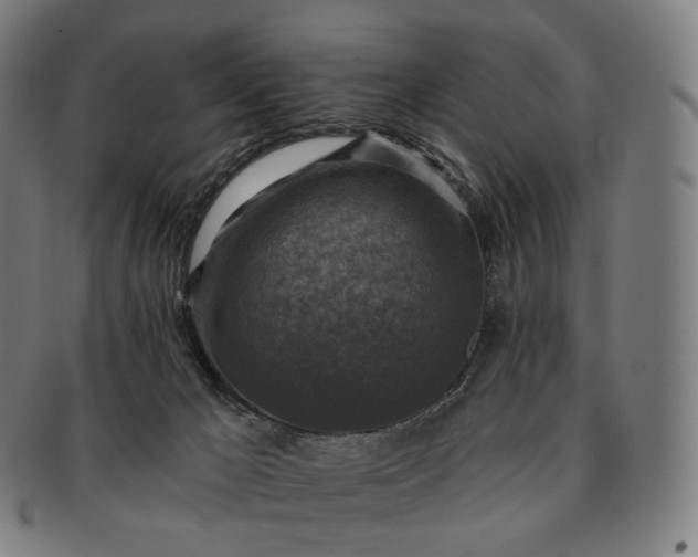 X0000091290029200708241039