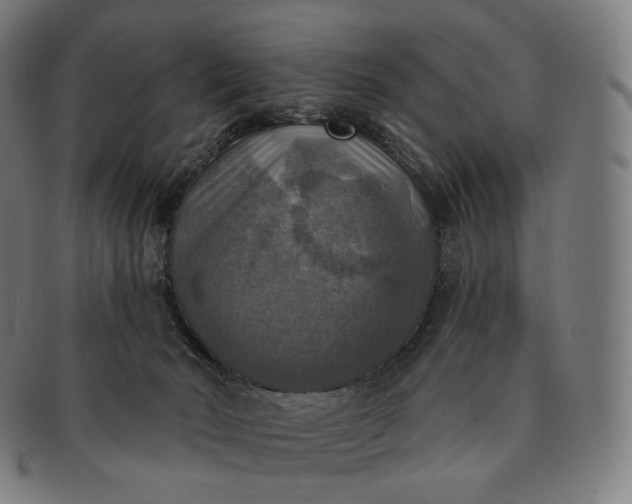 X0000091290030200708241039