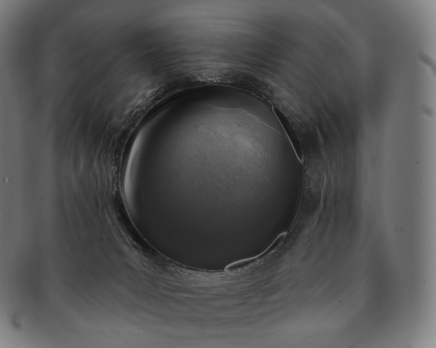 X0000091290031200708241039