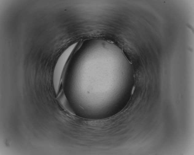 X0000091290033200708241039