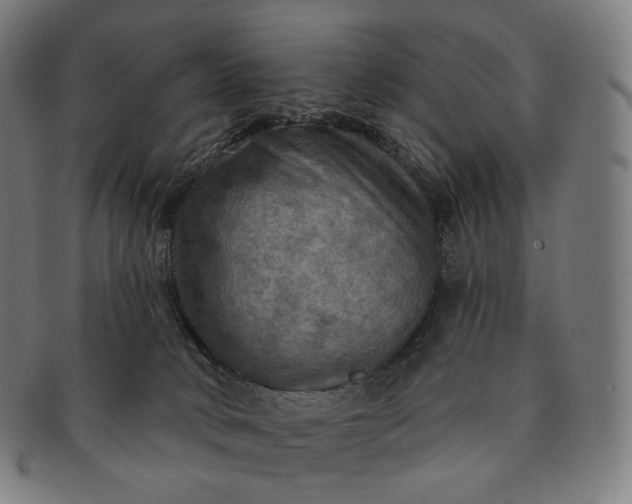 X0000091290034200708241039