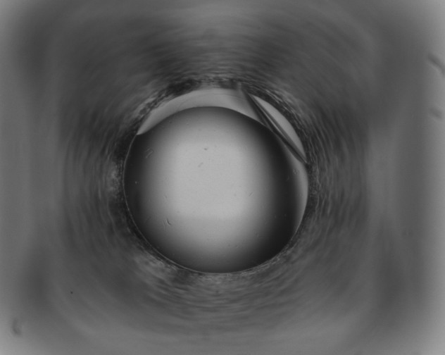 X0000091290037200708241039