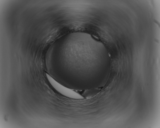 X0000091290039200708241039