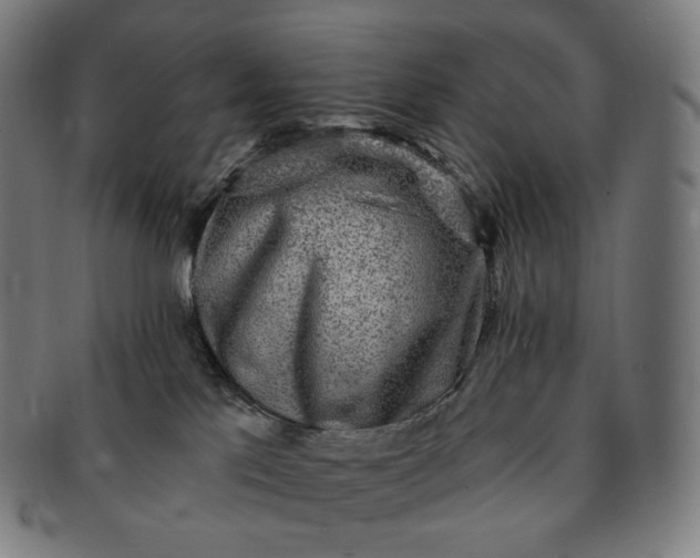 X0000091290041200708241039