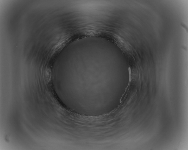 X0000091290043200708241039