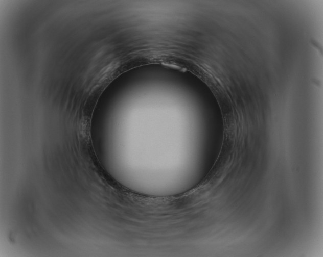 X0000091290044200708241039