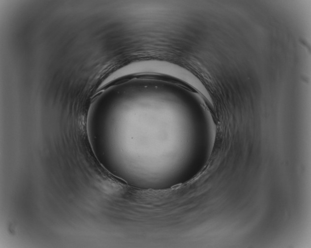 X0000091290045200708241039