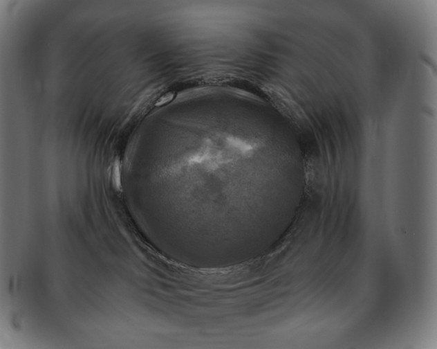 X0000091290046200708241039