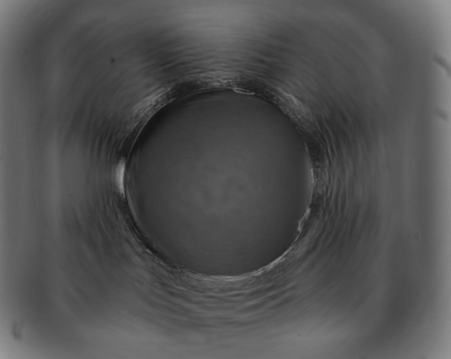 X0000091290047200708241039