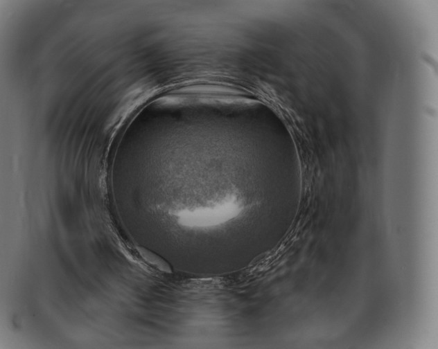 X0000091290050200708241038