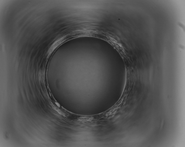 X0000091290051200708241038